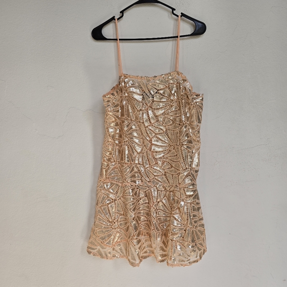Pret a Porter Carlota Alfaro Sequin Lace Nude Fit and Flare Mini Dress Large